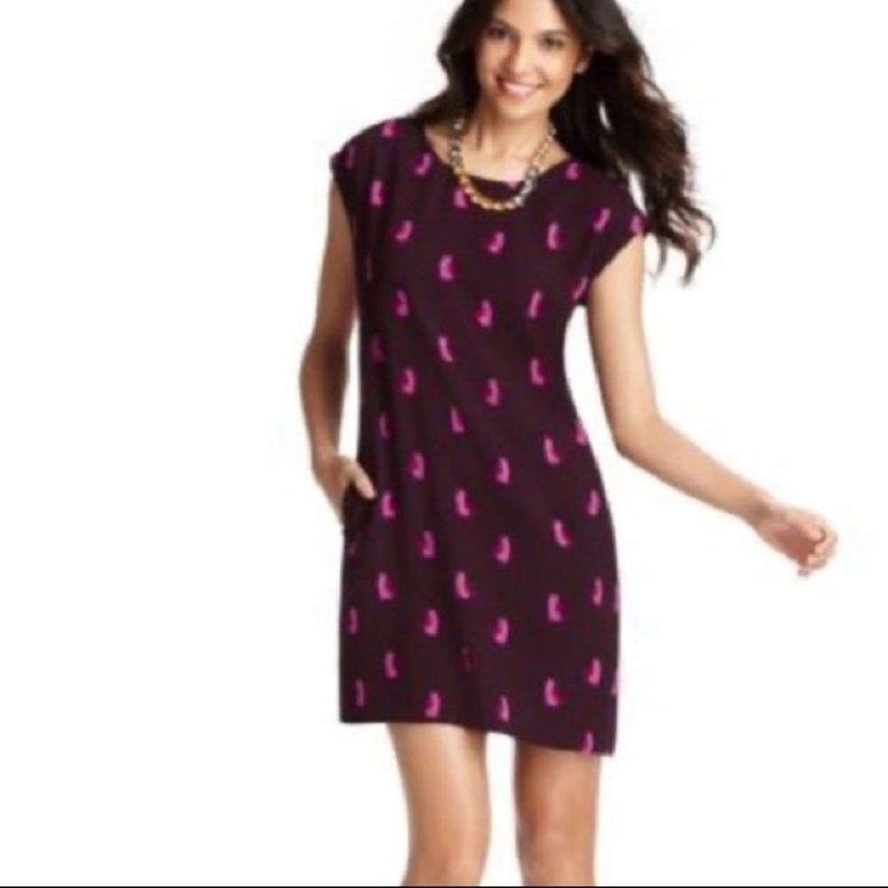LAST CHANCE $5  Ann Taylor Loft Cat Dress (petite)